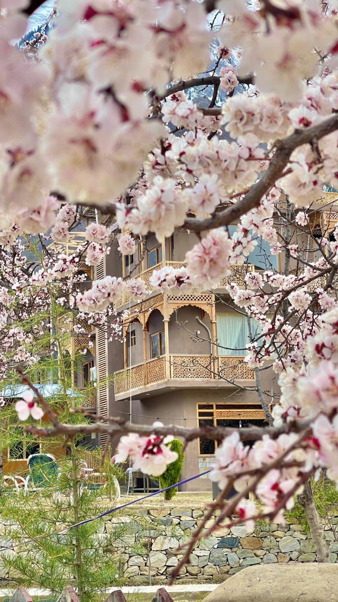 Dumani Nagar Hotel & Resort Karimabad  外观 照片